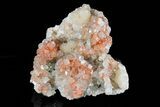 Apophyllite Crystals after Chabazite with Stilbite - India #176824-4
